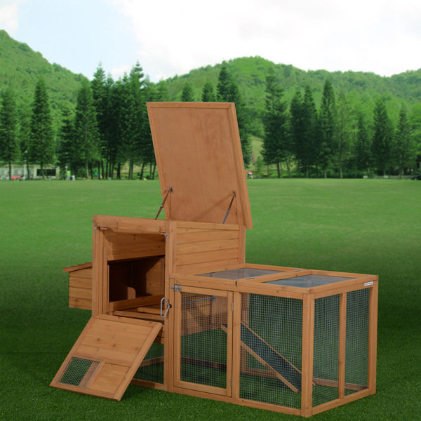 Archie & Oscar™ Auggie 75" Deluxe Wooden Chicken Coop with Chicken Run